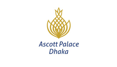 ASCOTT PALACE LIMITED logo